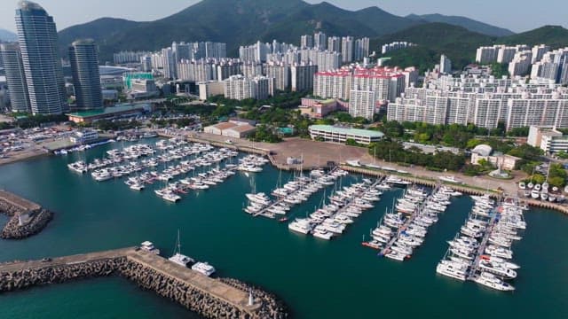Yacht marina located on the coast of Busan with a view of high-rise buildings