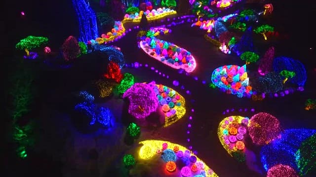 Aerial View of Colorful Illuminated Garden