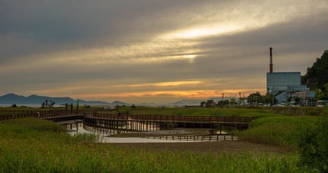 Evening view of an ecological park with wetlands and trails