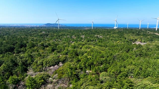 Wind turbines over a lush green forest
