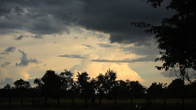 Cloudy sky over a silhouette of trees