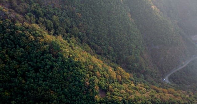 Road Running Along a Tree-Covered Hillside