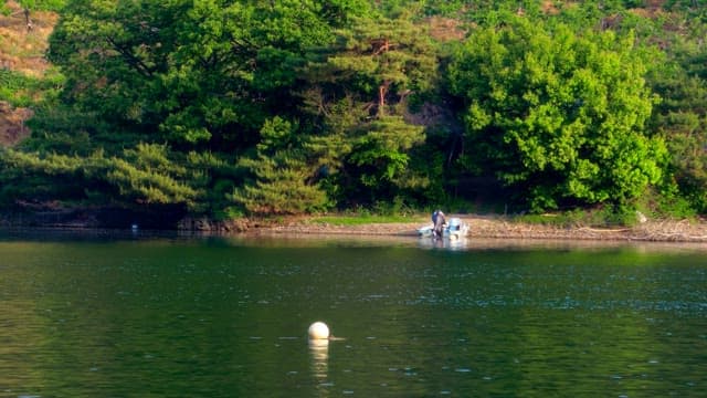 Peaceful forest and calm lake scene in the late afternoon