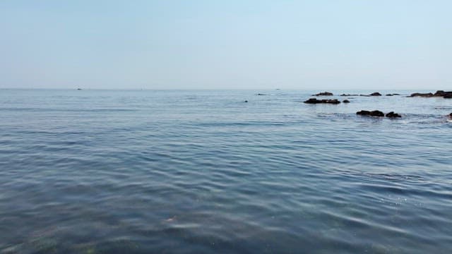 Diver in the sea with a buoy