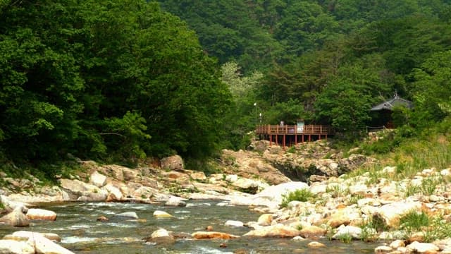 View of the valley with a tranquil traditional pavilion in the green trees