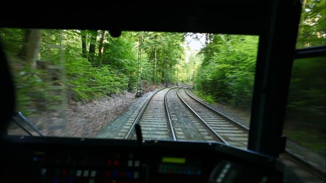 Journey Through Lush Green Railway Tracks