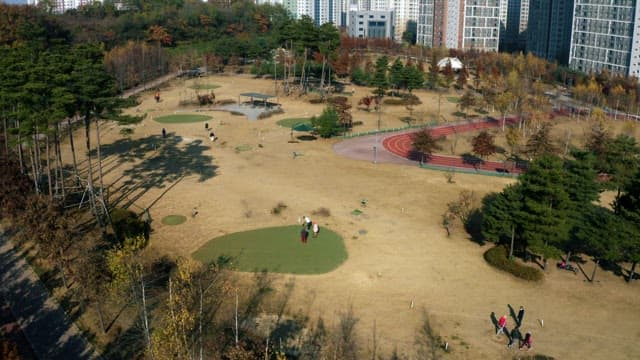 People Enjoying Hobbies in the Park
