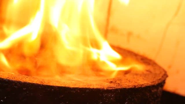 Beef tendon and mushrooms grilled over charcoal