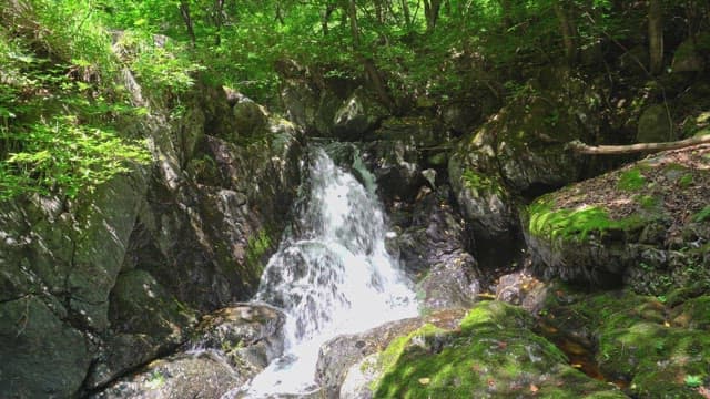 Valley water falling from above