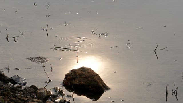 Midday sun reflected on the shallow waters