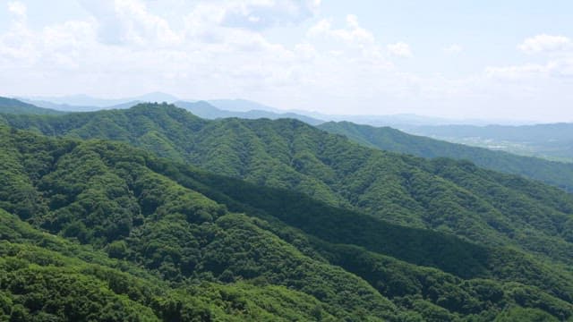 Lush green mountains under a clear sky