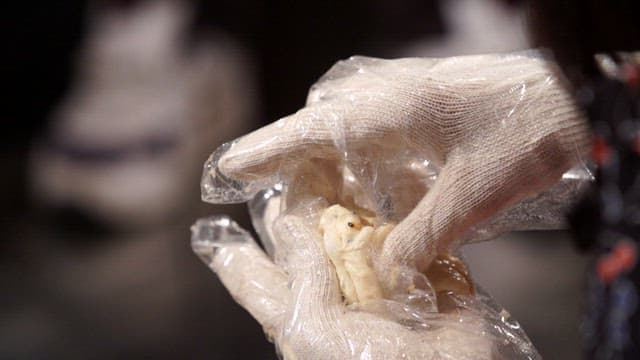 Hands shaping dough with gloves