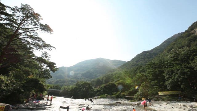 Summer Vacation in a Mountain Valley on a Sunny Day