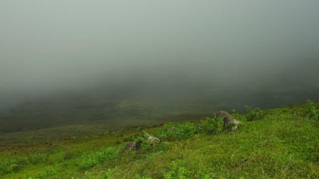 Misty Mountain Landscape with Greenery