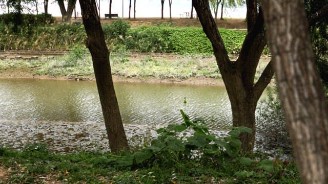 Serene Park Scene with Riverside View