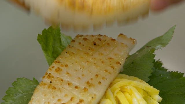 Grilled squid on fresh greens