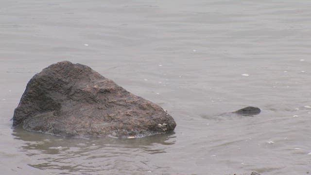 Tide Rising over the Rocks