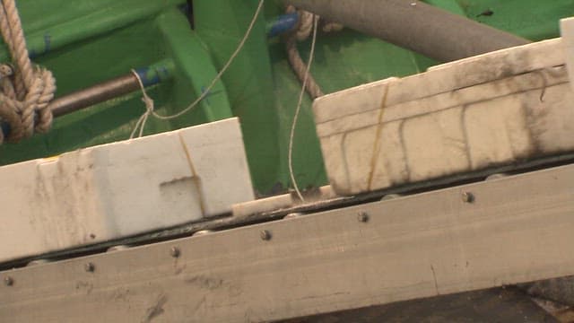 Wrapped Styrofoam Boxes Moving on a Conveyor Belt