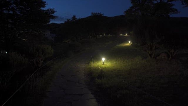 Quiet park in a dimly lit night