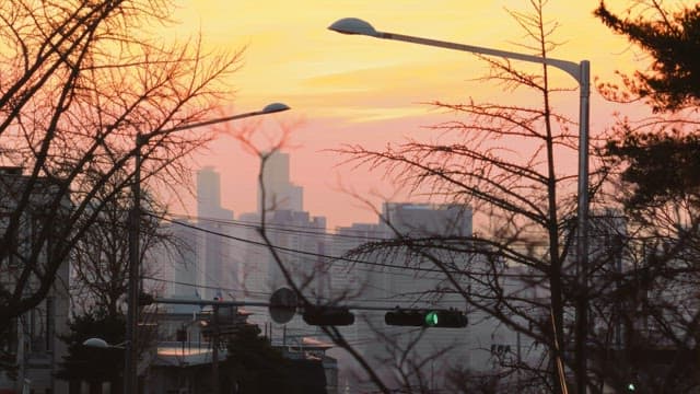 Traffic lights and streetlights in a city with many buildings at sunset