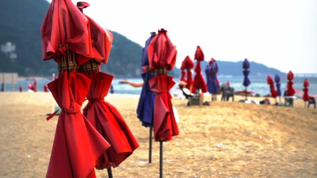 Closed parasols on a sandy beach