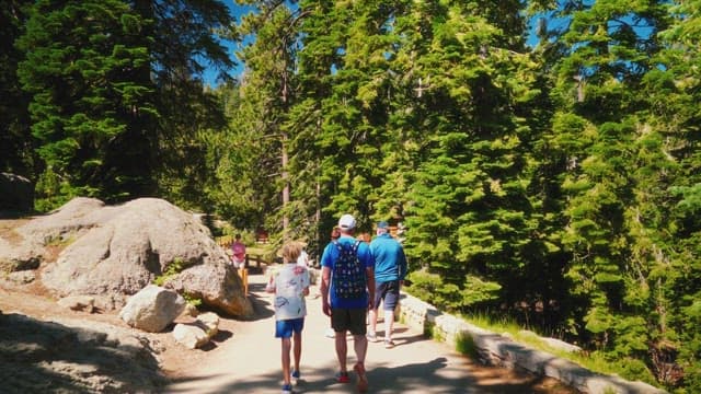 Family Hikers on a Forest Trail