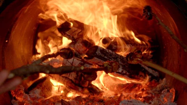 Dish made by grilling on a fire while sticking it on a tree branch