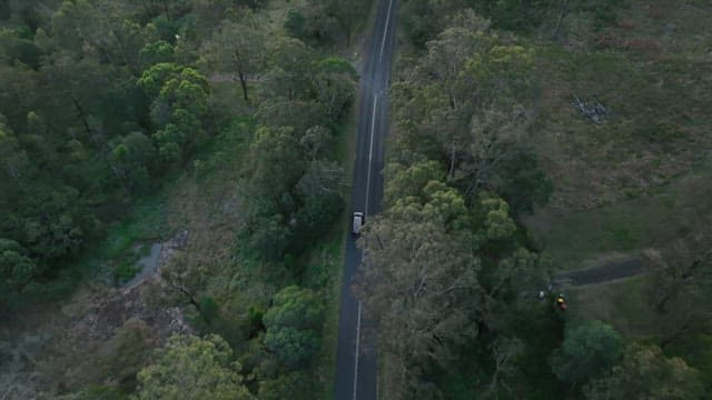 Car driving on a road through a dense forest