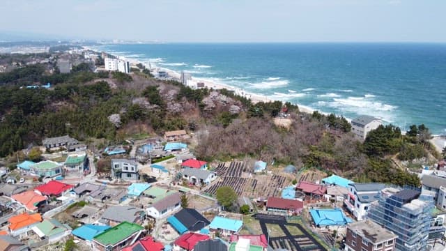 Coastal Village Alongside a Sandy Beach
