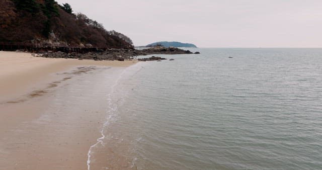 Waves Crashing on Peaceful Sandy Beach