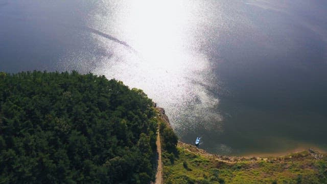 Clean river with green forests