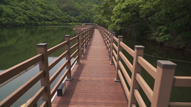 Serene Lake Walkway Surrounded by Lush Forest
