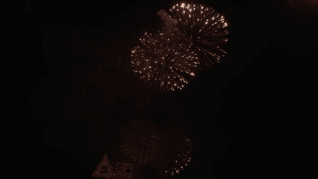 Fireworks lighting up the night sky
