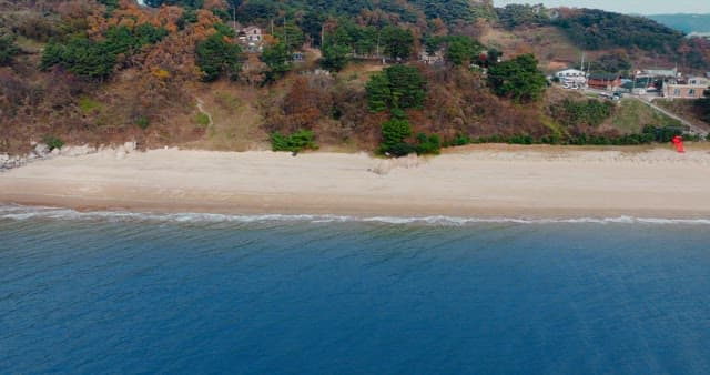 Coastal Landscape with Lush Greenery and Beach