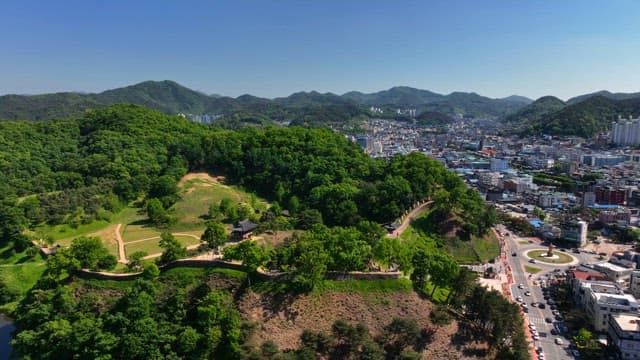 Lush green forest with a city in the background