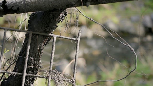 Refreshing stream and trees visible behind rusty metal frame