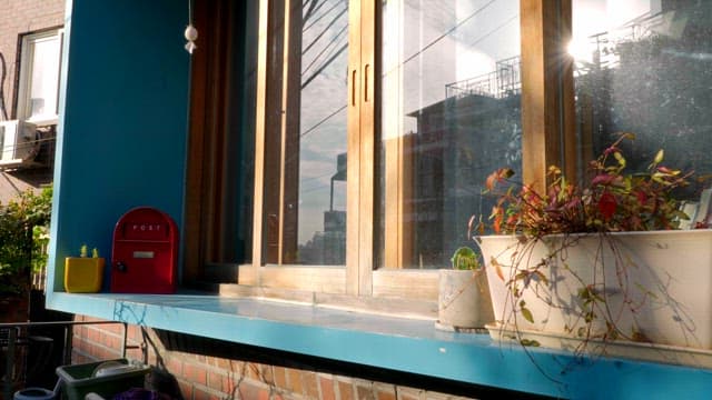 Window with plants and a mailbox