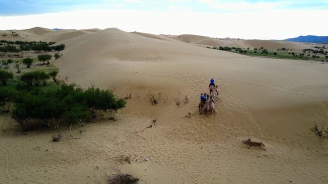 Riders on camels crossing a desert