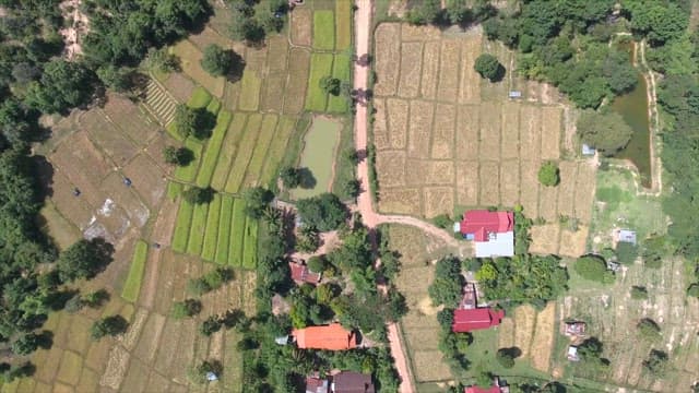 Rural landscape with fields and a temple