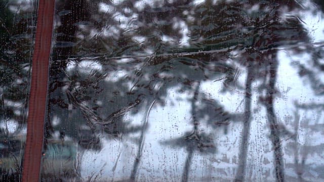 Rainy day observed through a window with blurry trees in the background