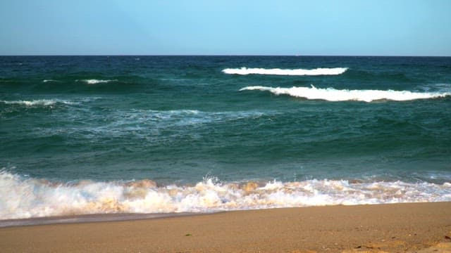 Waves crashing on a sandy beach on a sunny day