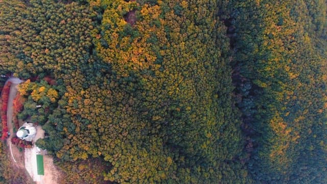 Mountainous Terrain with Dense Trees