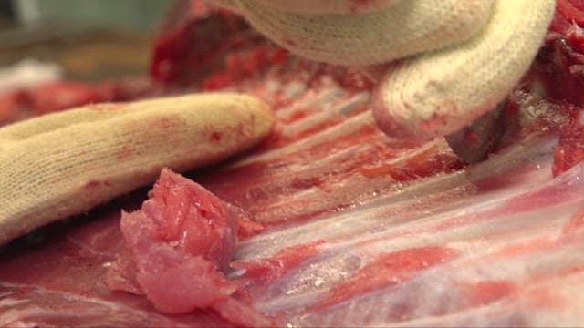 Chef Skillfully Cuttings Fresh Tuna