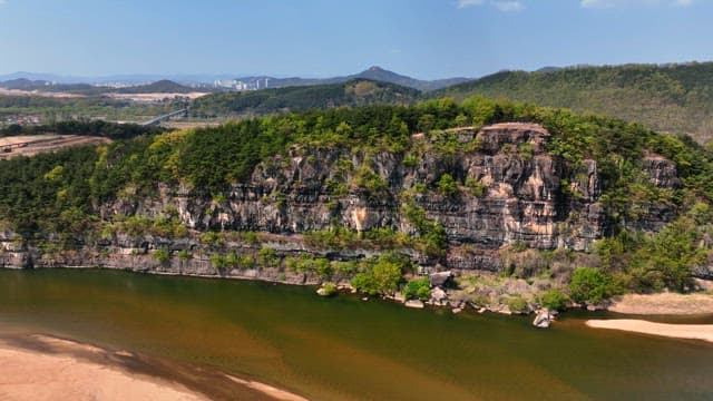 Lush forest on a rocky cliff