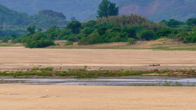 Scenic view of a riverbed amidst lush forested hills