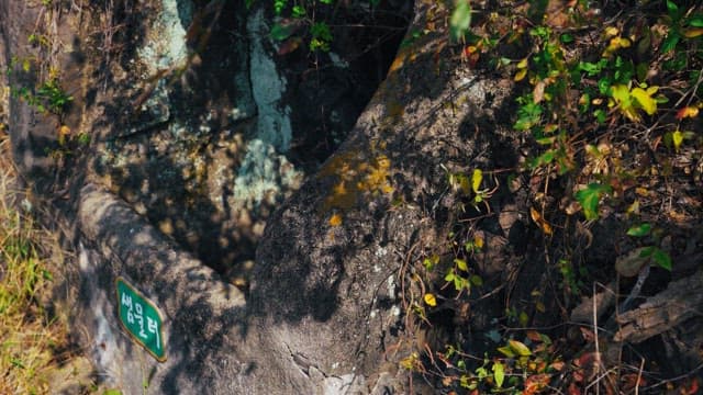 Spring waterfront surrounded by lush trees