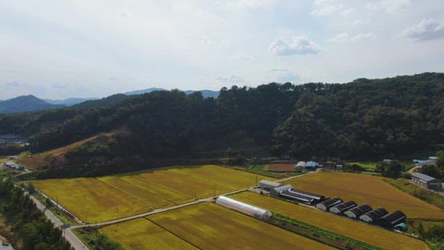 Expansive farmland with surrounding mountains