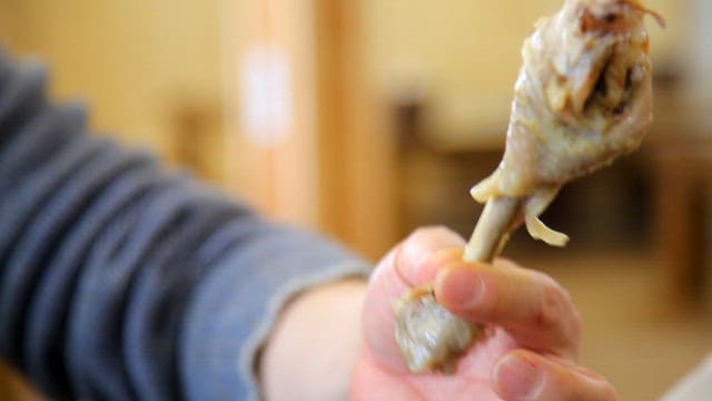 Hand holding a piece of boiled chicken leg