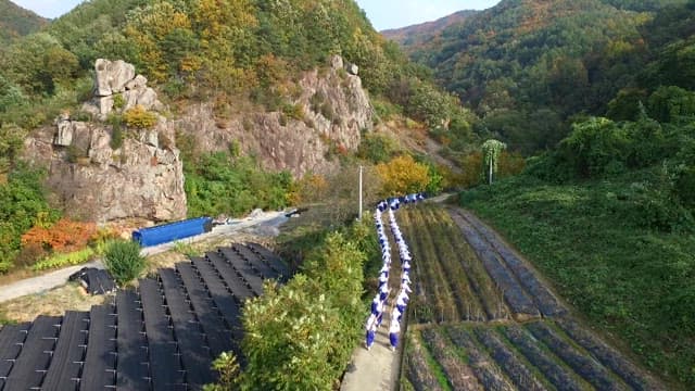 People wearing traditional Korean clothing, Hanbok, walking along a mountain path in a dense forest