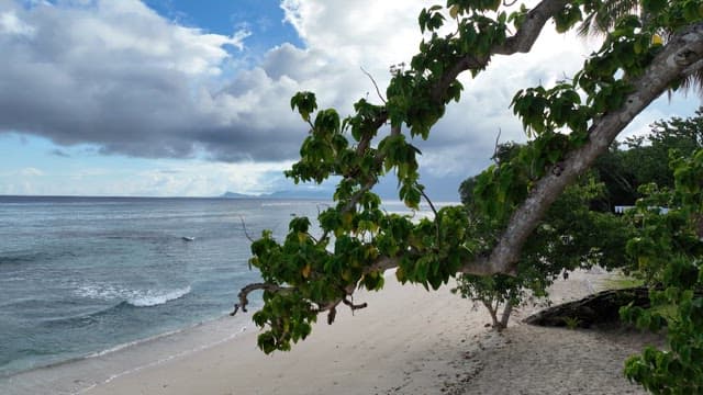 Sea with islands covered in lush forests